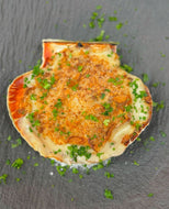 Coquille st jacques bretonne ÉDITION FÊTES