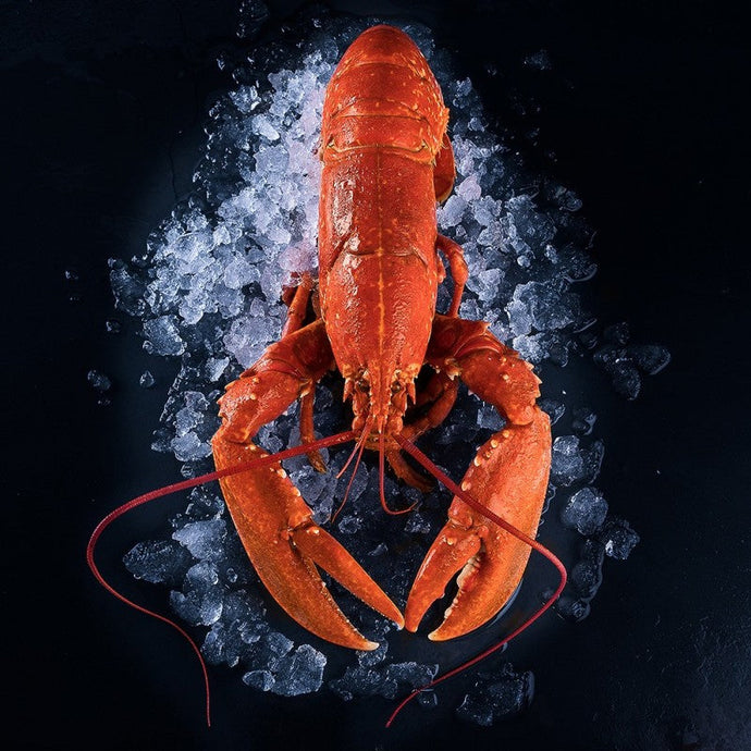 Homard Bleu origine France